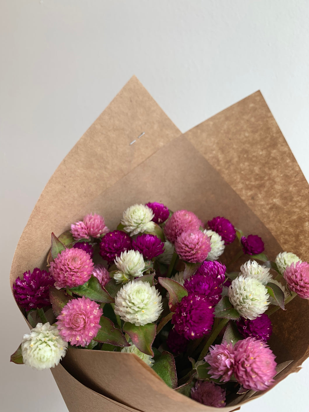 Mapleton Acres Barbie Bouquets (Gomphrena)