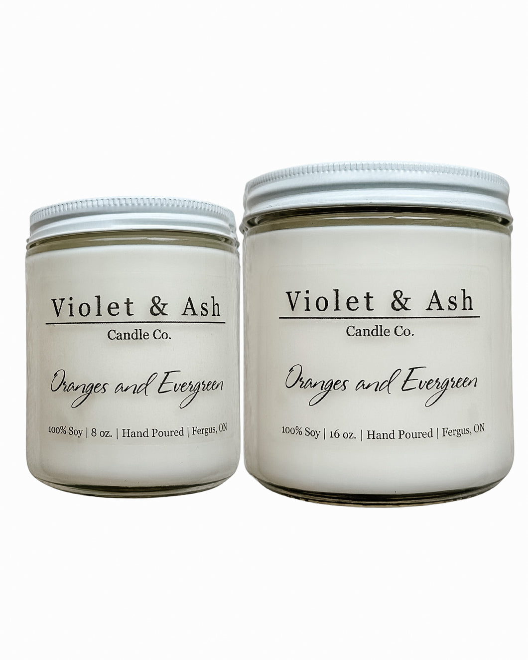 Oranges and Evergreen