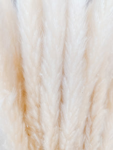 Skinny Pampas Bundle (Natural)